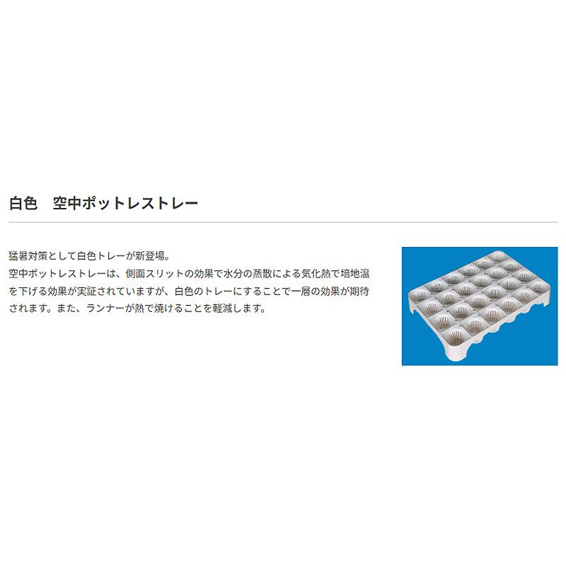 受注生産品 20枚 空中ポットレストレー 白色 7cm 24穴 脚付 W50×D35.8×H11cm 培土入器 阪中緑化資材 タS 代引不可 |  | 01