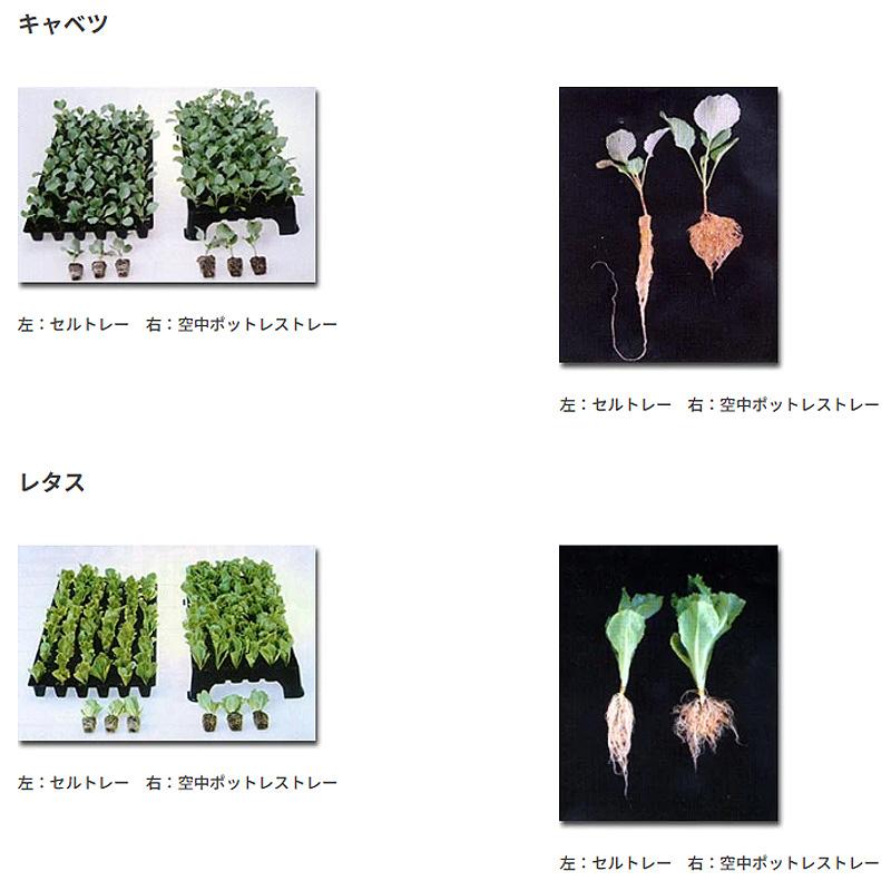 受注生産品 20枚 空中ポットレストレー 白色 7cm 24穴 脚付 W50×D35.8×H11cm 培土入器 阪中緑化資材 タS 代引不可 |  | 08