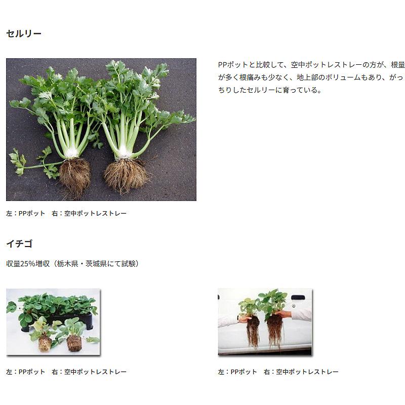 受注生産品 20枚 空中ポットレストレー 白色 7cm 24穴 脚無 W48.5×D34×H7.5cm 培土入器 阪中緑化資材 タS 代引不可 |  | 09