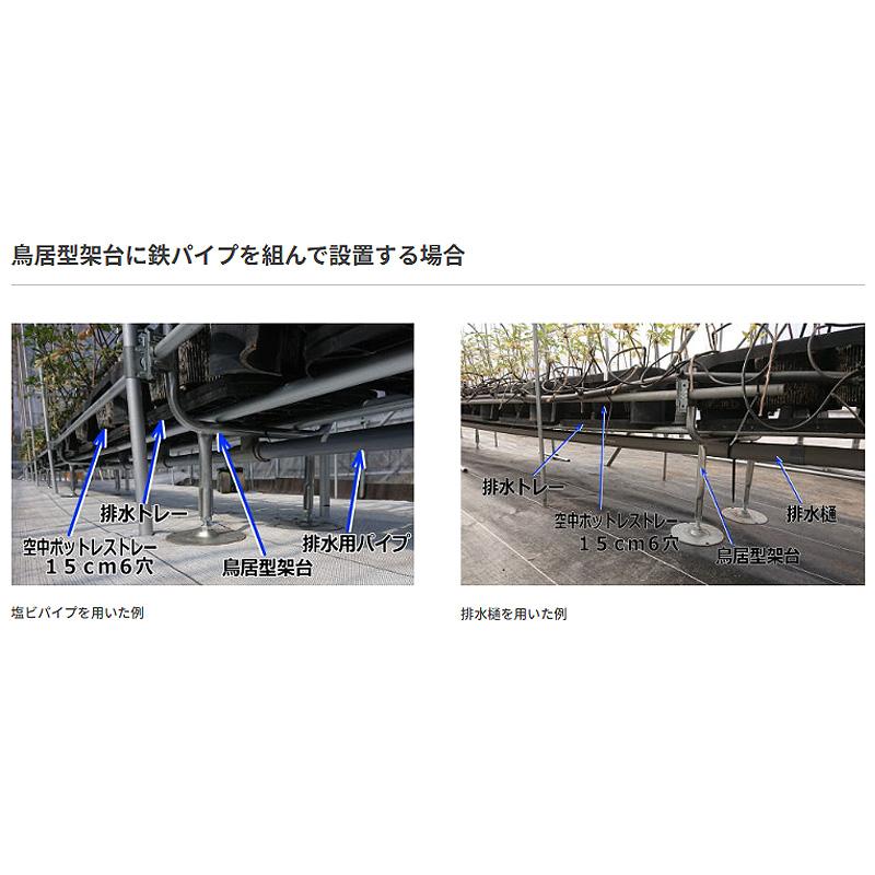 受注生産品 20枚 空中ポットレストレー 白色 7cm 24穴 脚無 W48.5×D34×H7.5cm 培土入器 阪中緑化資材 タS 代引不可 |  | 05