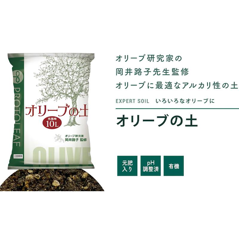 4袋 オリーブの土 10L オリーブ 土川砂配合 アルカリ性 植物 園芸 ガーデニング プロトリーフ PROTOLEAF カ園 代引不可 個人宅配送不可 |  | 02