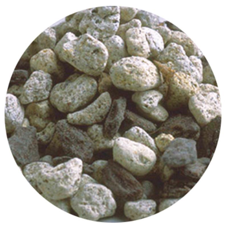 10袋 洋ランの土 5L 洋蘭 培養土 シンビジウム デンドロビウム コチョウラン カトレア ガーデニング プロトリーフ PROTOLEAF カ園 代引不可 個人宅配送不可 |  | 01