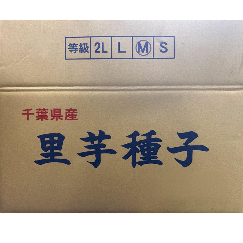 3kg 土垂 特選 特急M 種芋 種子 千葉県産 どだれ サトイモ 里芋 栽培用 吉S DZ |  | 01