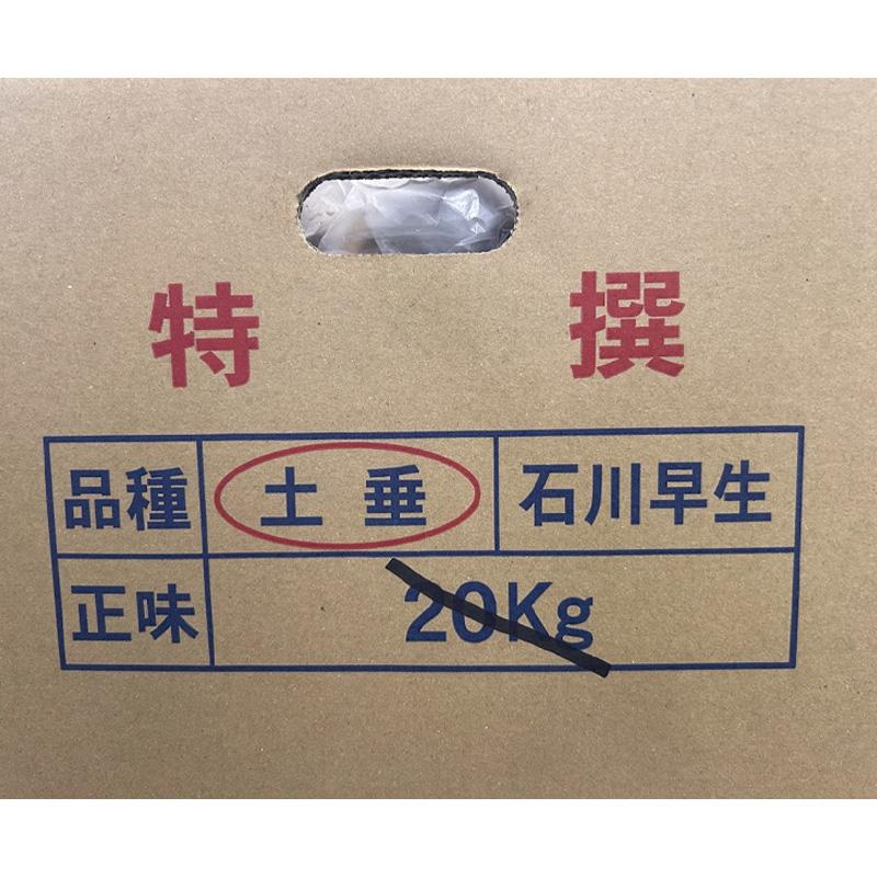 5kg 土垂 特選 特急M 種芋 種子 千葉県産 どだれ サトイモ 里芋 栽培用 吉S DZ |  | 02