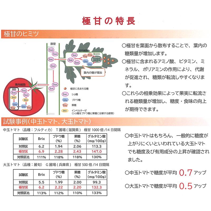 10本 極甘 1L ごくあま 液状肥料 畑 家庭菜園 トマト とまと ガーデニング 農業 園芸 林化学工業 タS 代引不可 |  | 01