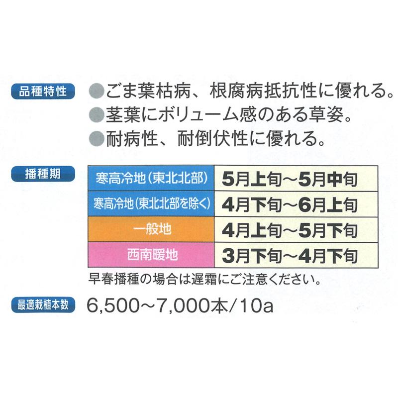 種 3500粒 トウモロコシ スノーデント120 早中生 SH9702 飼料作物 とうもろこし 雪印種苗 米S 代引不可 登録品種名:SH9702 |  | 02