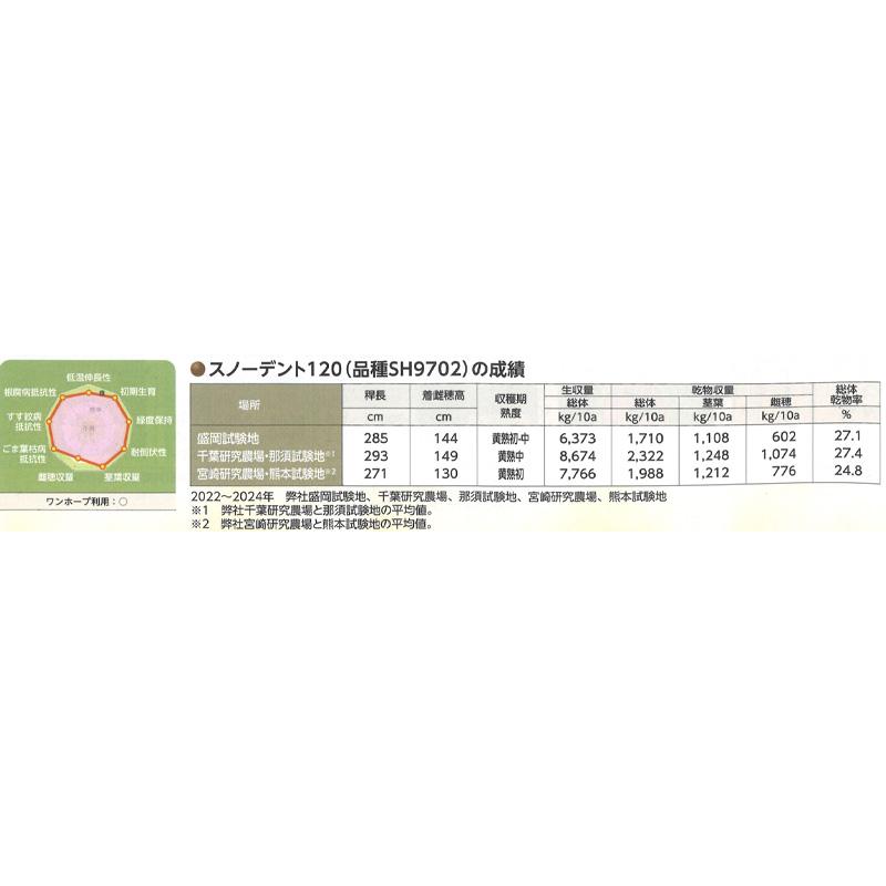 種 3500粒 トウモロコシ スノーデント120 早中生 SH9702 飼料作物 とうもろこし 雪印種苗 米S 代引不可 登録品種名:SH9702 |  | 03