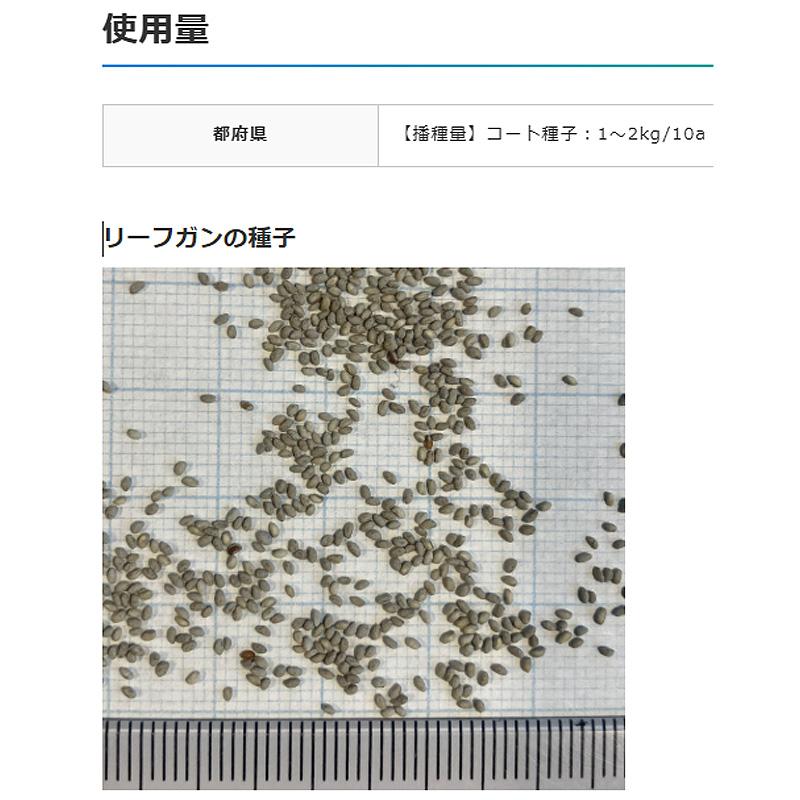 種 1kg テフグラス リーフガン ボーナス コート種子 極早生 飼料 雪印種苗 米S 代引不可 品種名:ボーナス |  | 05