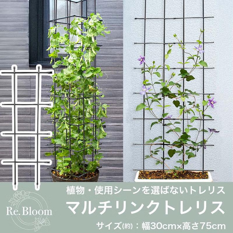 24個 マルチリンクトレリス W30cm×H75cm アンスラサイトグレー タワー型 フェンス型 組み合わせ自由 園芸 野菜 植物 第一ビニール 代引不可 個人宅配送不可 |  | 01