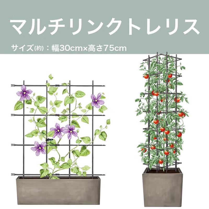 24個 マルチリンクトレリス W30cm×H75cm アンスラサイトグレー タワー型 フェンス型 組み合わせ自由 園芸 野菜 植物 第一ビニール 代引不可 個人宅配送不可 |  | 02