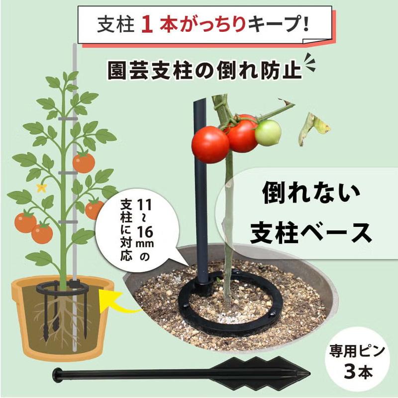 30個 倒れない支柱ベース 直径11mm〜16mm用 支柱に対応 家庭菜園 園芸 野菜 ガーデニング 支柱 植物 第一ビニール 代引不可 個人宅配送不可 |  | 01