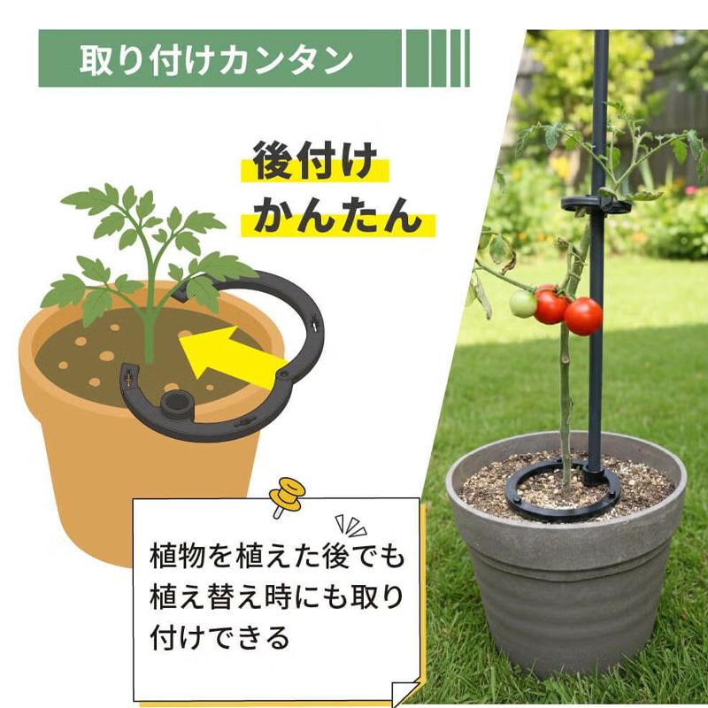 30個 倒れない支柱ベース 直径11mm〜16mm用 支柱に対応 家庭菜園 園芸 野菜 ガーデニング 支柱 植物 第一ビニール 代引不可 個人宅配送不可 |  | 02