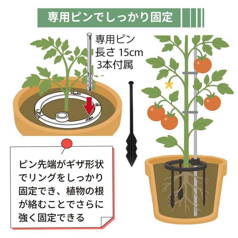 30個 倒れない支柱ベース 直径11mm〜16mm用 支柱に対応 家庭菜園 園芸 野菜 ガーデニング 支柱 植物 第一ビニール 代引不可 個人宅配送不可 |  | 03