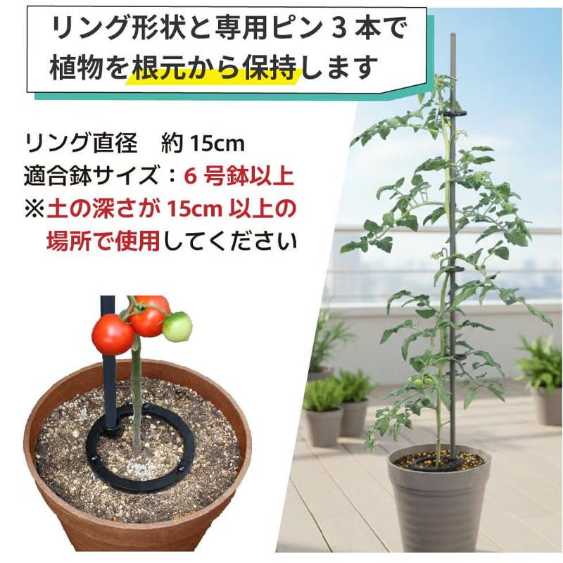 30個 倒れない支柱ベース 直径11mm〜16mm用 支柱に対応 家庭菜園 園芸 野菜 ガーデニング 支柱 植物 第一ビニール 代引不可 個人宅配送不可 |  | 05
