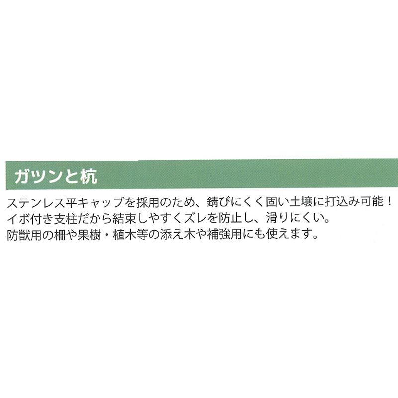 20個 ガツンと杭 φ25mm×2400mm 杭 クイ 打ち込み イボ付き支柱 結束 ズレ防止 植木 添木 補強用 固定 庭 ガーデニング 第一ビニール 代引不可 個人宅配送不可 |  | 02