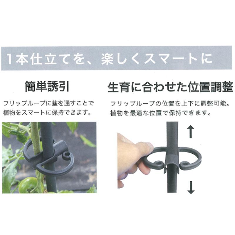 24個 フリップサポート ループ2個付 φ11mm×900mm 簡単誘引 位置調整 家庭菜園 園芸 野菜 花 庭 ガーデニング 支柱 植物 第一ビニール 代引不可 個人宅配送不可 |  | 02