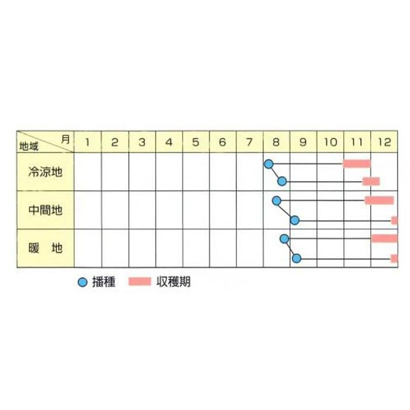 種子 0.8ml ハクサイ 晩太郎 北越交配 栽培用 野菜タネ 野菜種子 野菜のタネ 白菜 北越農事 D |  | 02