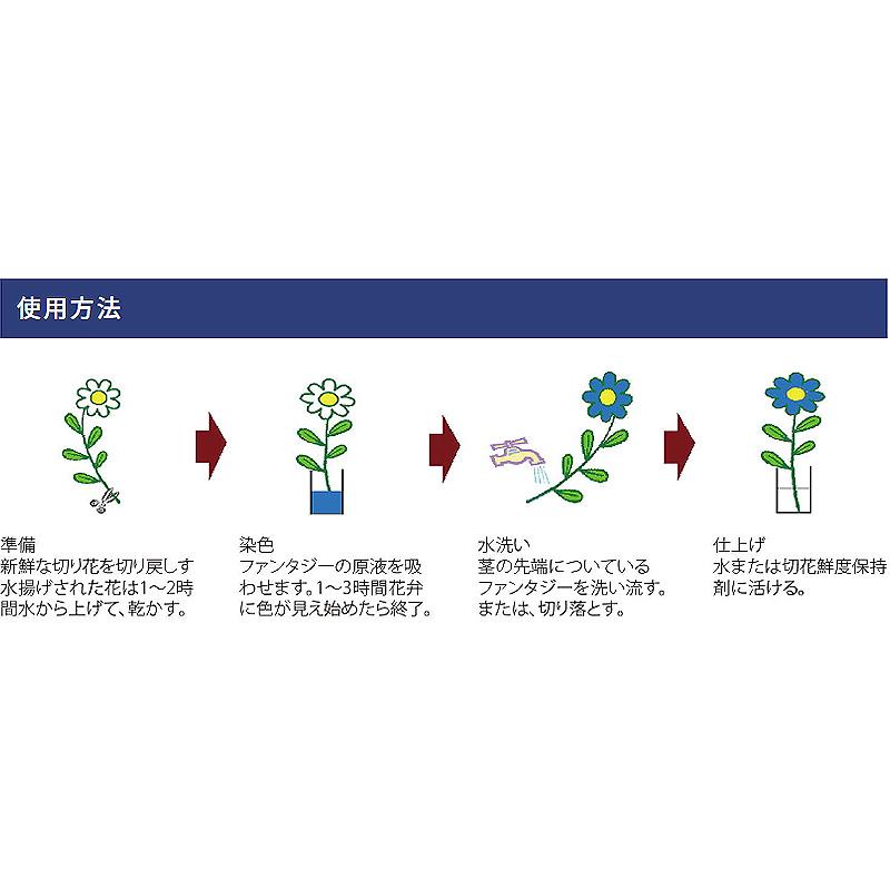 切花着色剤ファンタジー 5L パンジー 吸い上げタイプ 深み紫 うすめ液 切り花 着色 レインボー フラワー アレンジ 切り花着色剤 パレス化学 D |  | 05