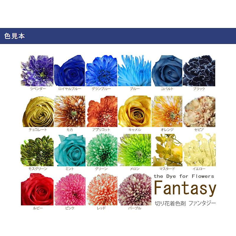 切花着色剤ファンタジー 5L パンジー 吸い上げタイプ 深み紫 うすめ液 切り花 着色 レインボー フラワー アレンジ 切り花着色剤 パレス化学 D |  | 06
