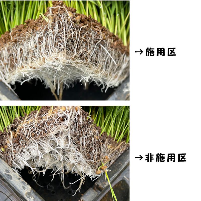 息吹プレミアム 10kg 顆粒タイプ ピートモス ゼオライト 土づくり 土壌改良材 水稲 農業 農家 汎陽科学 イB 代引不可 |  | 04