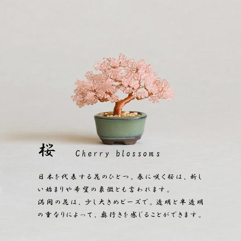 ネジッテBONSAIキット01 HCA30 縦約6.5〜9.5cm 横約5〜7.5cm 松 梅 桜 藤 紅葉 銀杏 ビーズ 手芸 手作り ハンドメイド 盆栽 ねじって 置物 植物 日本 MIYUKI DZ |  | 03