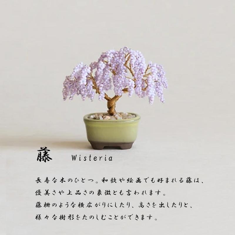 ネジッテBONSAIキット01 HCA30 縦約6.5〜9.5cm 横約5〜7.5cm 松 梅 桜 藤 紅葉 銀杏 ビーズ 手芸 手作り ハンドメイド 盆栽 ねじって 置物 植物 日本 MIYUKI DZ |  | 04
