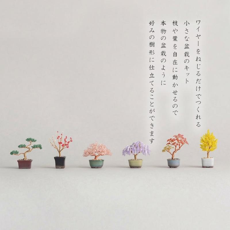 ネジッテBONSAIキット01 HCA30 縦約6.5〜9.5cm 横約5〜7.5cm 松 梅 桜 藤 紅葉 銀杏 ビーズ 手芸 手作り ハンドメイド 盆栽 ねじって 置物 植物 日本 MIYUKI DZ |  | 07