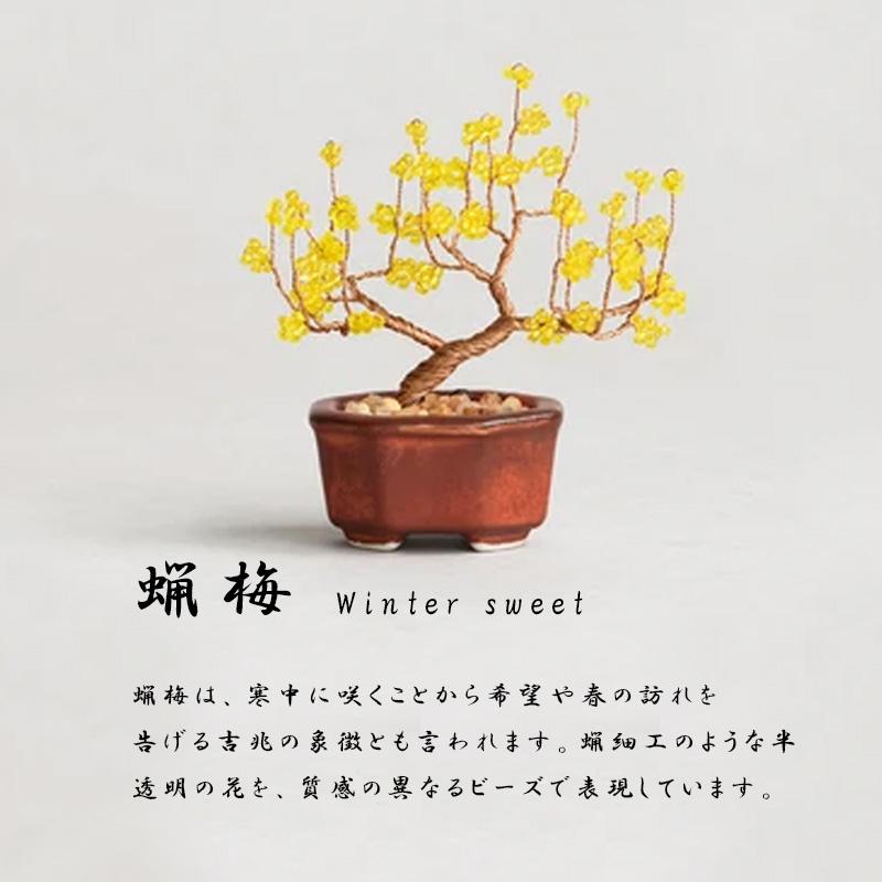 ネジッテBONSAIキット02 HCA30 縦約6.5〜7cm 横約5〜7cm 真柏 蝋梅 枝垂桜 柳 紫式部 柿 ビーズ 手作り ハンドメイド 盆栽 ねじって 置物 植物 日本 MIYUKI DZ |  | 02