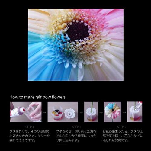 パレス化学 レインボーフラワーメーカー 2個入 ファンタジー 生花 フラワーアレンジ 植物 染色 園芸 ガーデニング 自由研究 実験 インテリア Z |  | 01