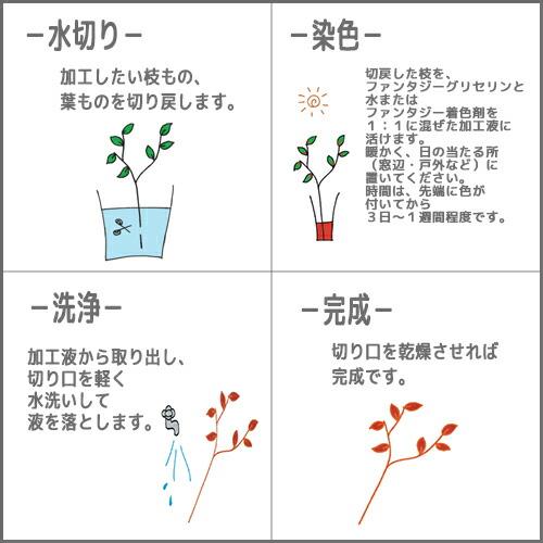 送料無料 切花着色剤ファンタジー グリセリン 5L 切り花 染色 染色液 フラワーアレンジ 生花 植物 パレス化学 |  | 01