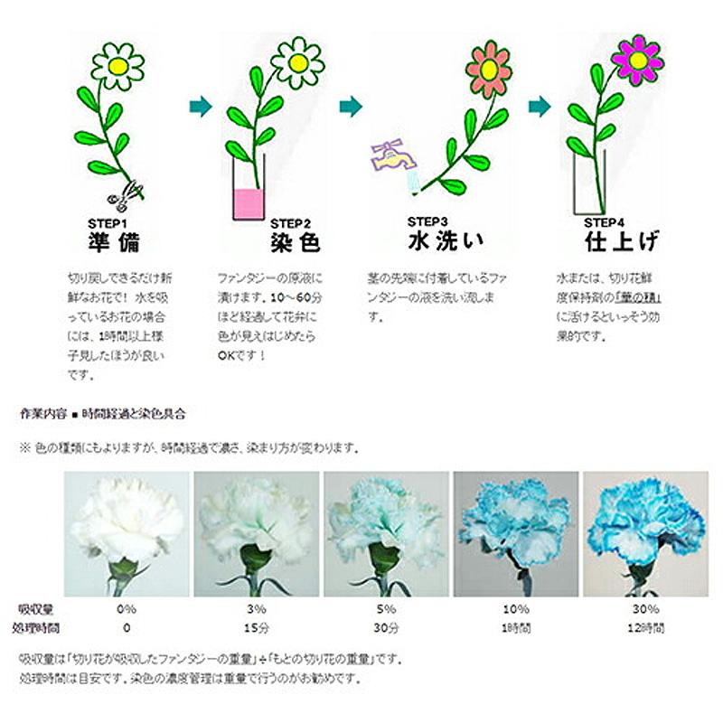パレス化学 切花着色剤ファンタジー 100ml セピア 切り花 着色 レインボー フラワー アレンジ 切り花着色剤 Z |  | 01