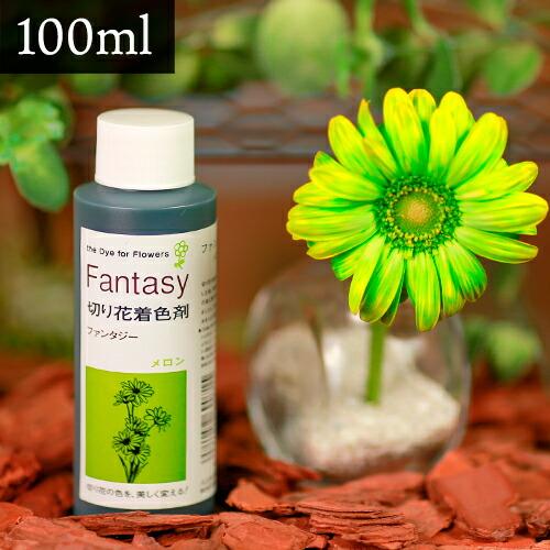 パレス化学 切花着色剤ファンタジー 100ml メロン 切り花 着色 レインボー フラワー アレンジ 切り花着色剤 Z | 