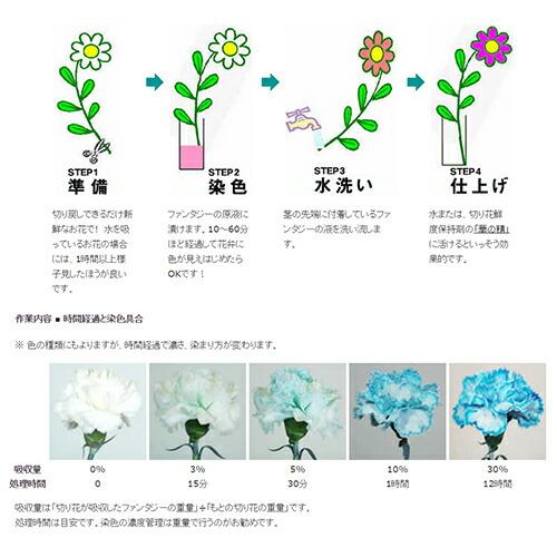 パレス化学 切花着色剤ファンタジー 100ml チョコレート 切り花 着色 レインボー フラワー アレンジ 切り花着色剤 Z |  | 01