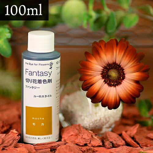 パレス化学 切花着色剤ファンタジー 100ml モカ 切り花 着色 レインボー フラワー アレンジ 切り花着色剤 Z | 