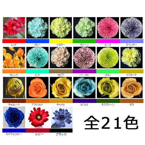 パレス化学 切花着色剤 ファンタジー 1L セピア 茎 生花 ディスプレイ デコレーション フラワーアレンジ Z |  | 02