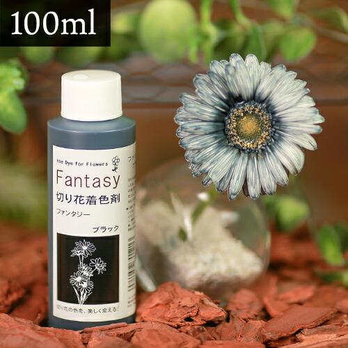 パレス化学 切花着色剤ファンタジー 100ml ブラック 切り花 着色 レインボー フラワー アレンジ 切り花着色剤 Z | 
