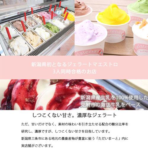 ジェラート マエストロがいる専門店 選べるジェラート 6個セット Gelateria COCO ジェラテリアココ |  | 02