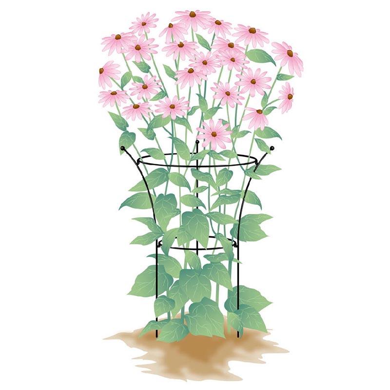プラントサポート 小 組立て式 No.420 日本製 GreenGarden グリーンガーデン 小林金物 ガーデニング 花ささえ 花 園芸 支柱 庭 D |  | 01