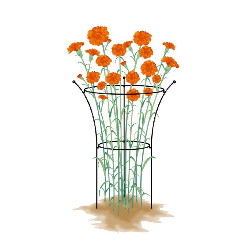 プラントサポート 大 組立て式 No.421 日本製 GreenGarden グリーンガーデン 小林金物 ガーデニング 花ささえ 花 園芸 支柱 庭 D |  | 01