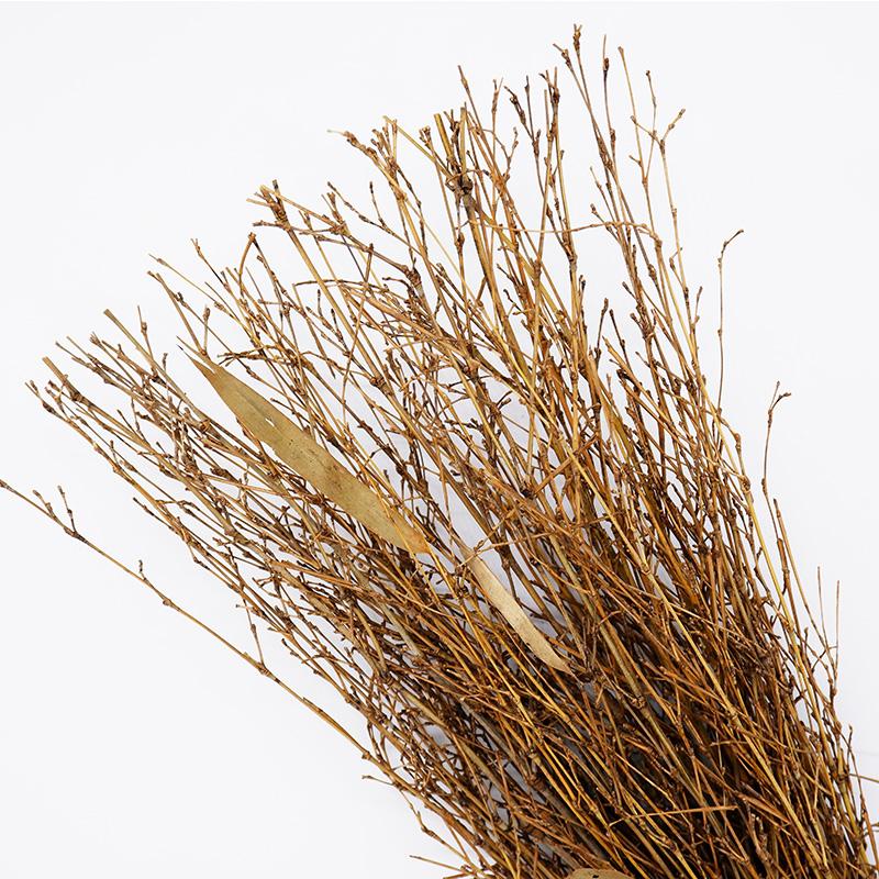 竹ホーキ ミニ 60cm 竹ほうき 竹箒 ほうき 箒 手箒 39003 小柳産業 H |  | 03