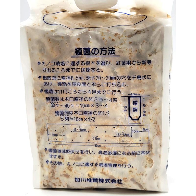 500個入 種駒 しいたけ KM-10号 丸棒型 食用きのこ菌 キノコ 椎茸 シイタケ 椎茸種駒 加川椎茸 米S DZ 返品不可 | 加川椎茸 | 01