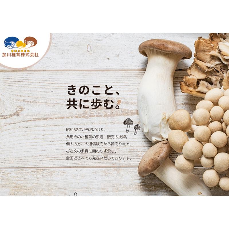 250個入 種駒 しいたけ KM-10号 丸棒型 食用きのこ菌 キノコ 椎茸 シイタケ 椎茸種駒 加川椎茸 米S DZ 返品不可 |  | 05