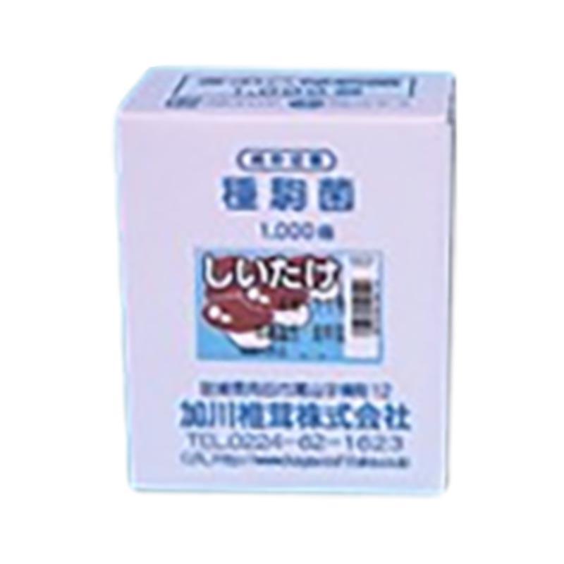 1000個入 種駒 しいたけ KM-10号 丸棒型 食用きのこ菌 キノコ 椎茸 シイタケ 加川椎茸 福S 代引不可 返品不可 | 
