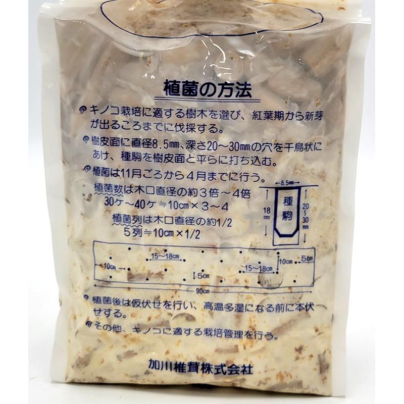 500個入 種駒 しいたけ KM-11号 丸棒型 食用きのこ菌 キノコ 椎茸 シイタケ 椎茸種駒 加川椎茸 米S DZ 返品不可 | 加川椎茸 | 01