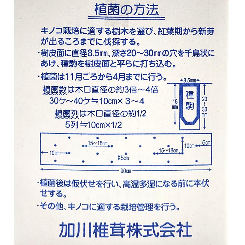 1000個入 種駒 しいたけ KM-11号 丸棒型 食用きのこ菌 キノコ 椎茸 シイタケ 椎茸種駒 加川椎茸 米S DZ 返品不可 | 加川椎茸 | 01