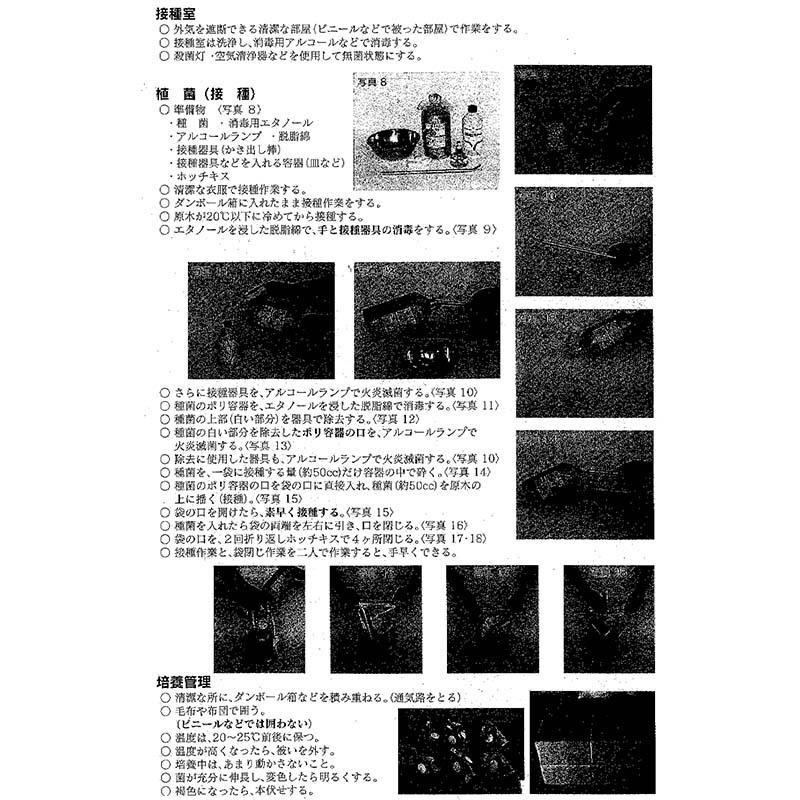種菌 オガクズ菌 1500cc 瓶入り しいたけ KM-16号 食用きのこ菌 キノコ 椎茸 シイタケ 加川椎茸 福S 代引不可 返品不可 |  | 03