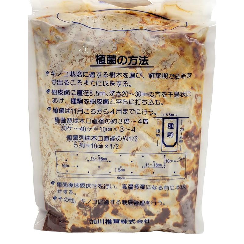 500個入 種駒 なめこ KM-87号 丸棒型 食用きのこ菌 キノコ なめこ菌 ナメコ 加川椎茸 米S DZ 返品不可 | 加川椎茸 | 01
