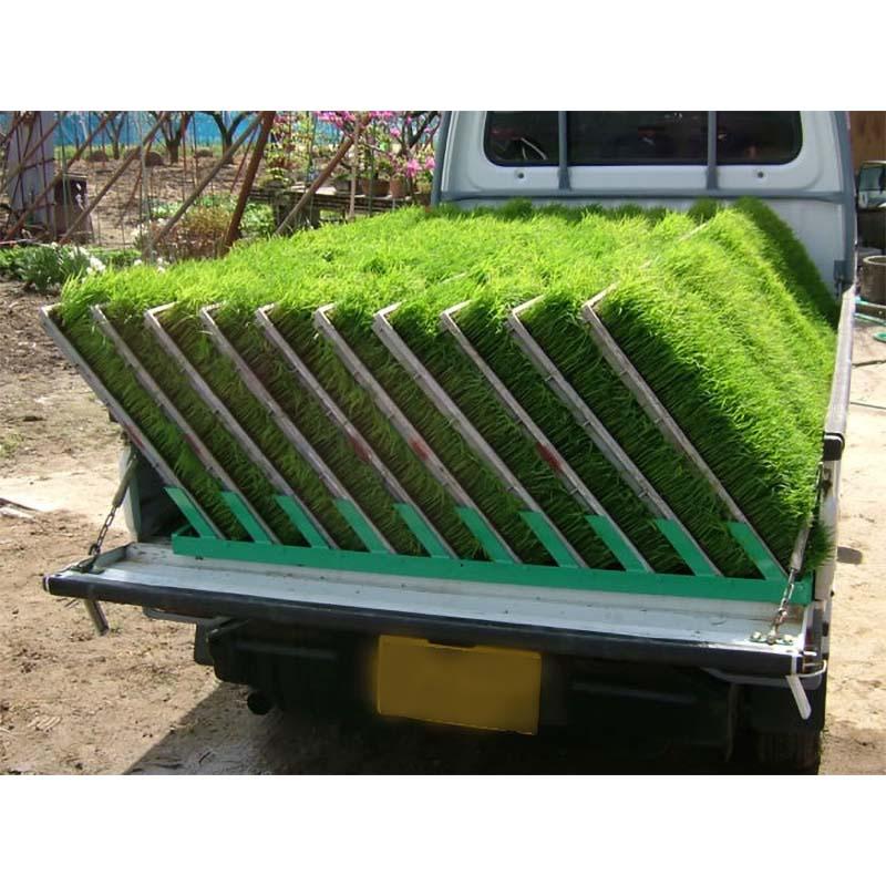 ナエコン 苗コンテナ LN-10 平積型 10枚積 農作業 農業 苗箱運搬 ホクエツ オK 個人宅配送不可 代引不可 |  | 01