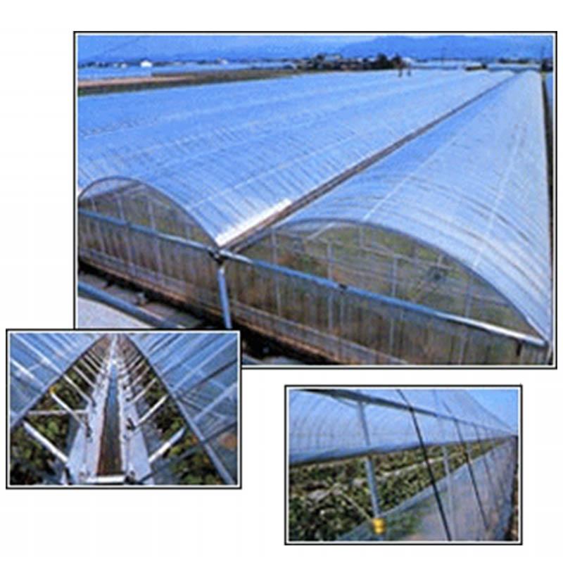 ノービエースみらい 0.1mm厚 670cm幅 15m 透明 農業用 ビニールフィルム 外張り 農ビ ハウス MKVアドバンス カ施 代引不可 |  | 02