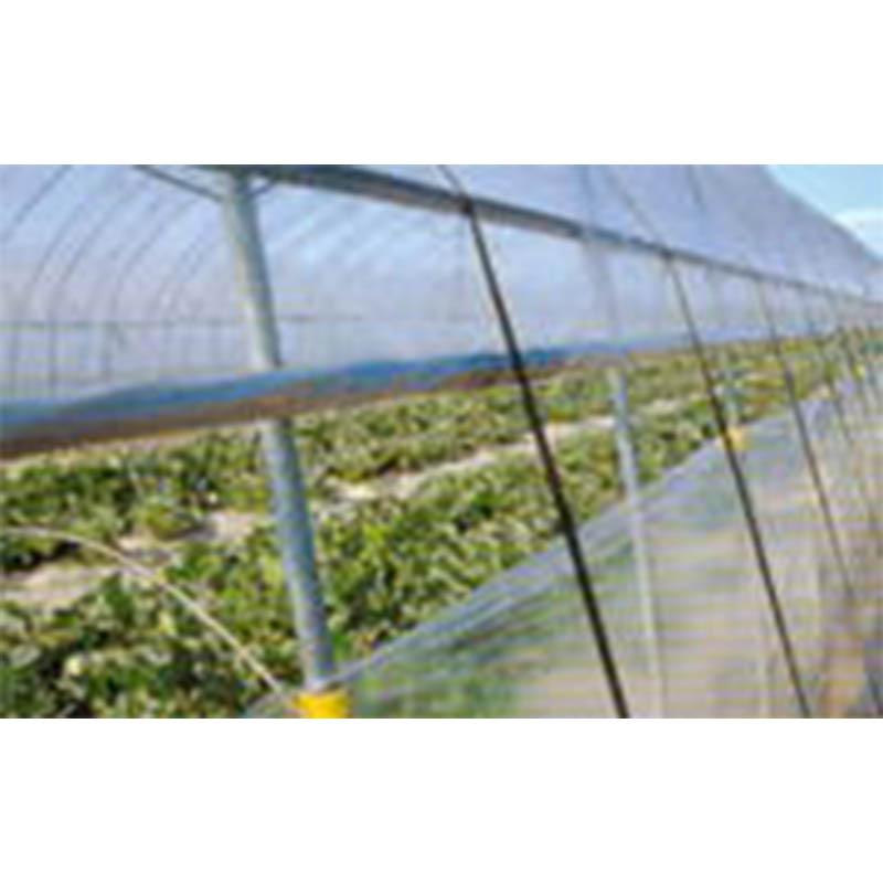 ノービエースみらい 0.1mm厚 900cm幅 15m 透明 農業用 ビニールフィルム 外張り 農ビ ハウス MKVアドバンス カ施 代引不可 |  | 01